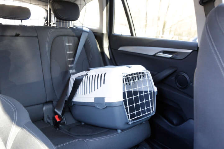 STEFANPLAST Transportbox GULLIVER